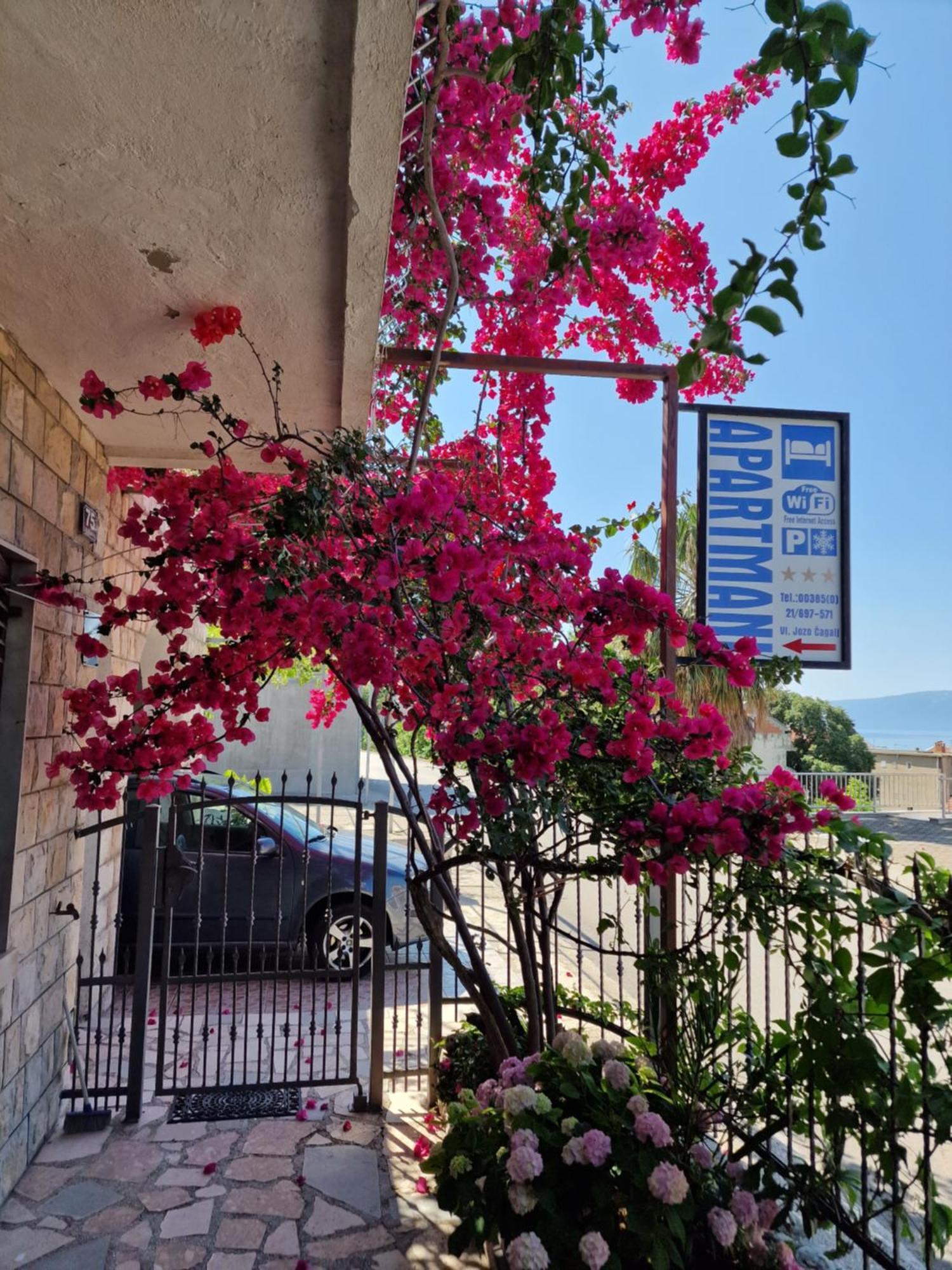 Apartments Palma غراداك المظهر الخارجي الصورة